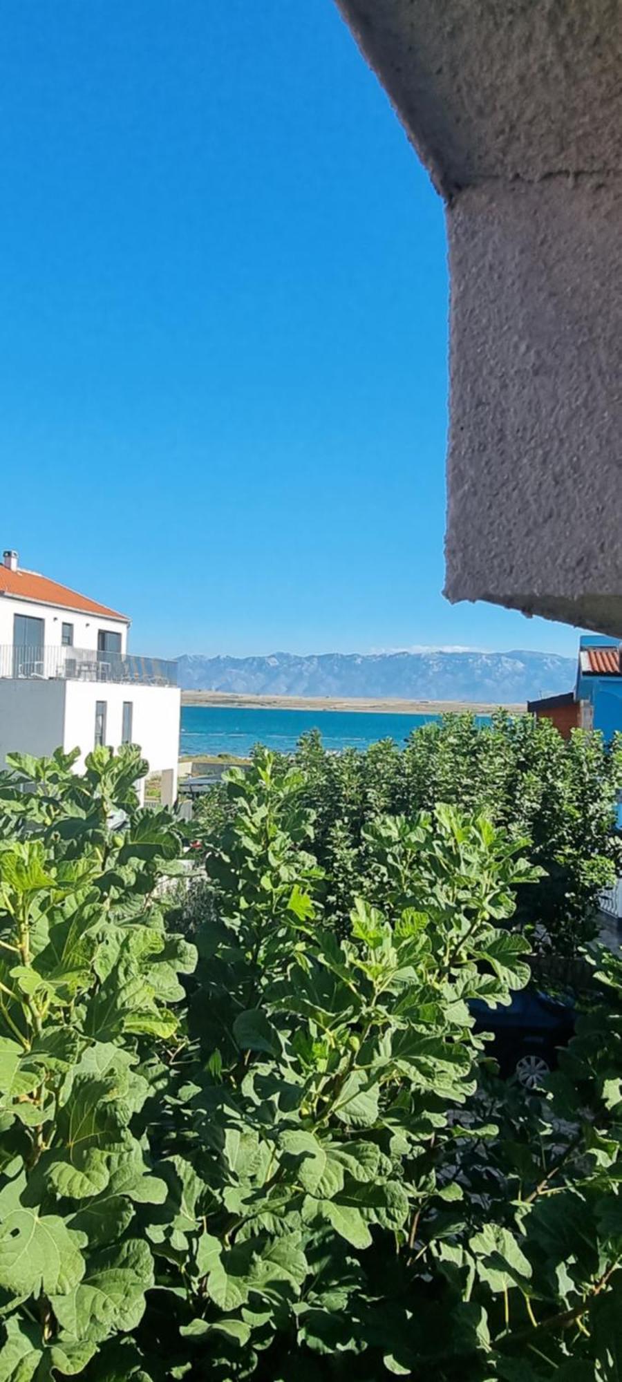 Villa Marija Vir Eksteriør bilde